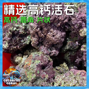 天然高钙活石鱼缸造景装饰珊瑚礁片状水族箱造景石