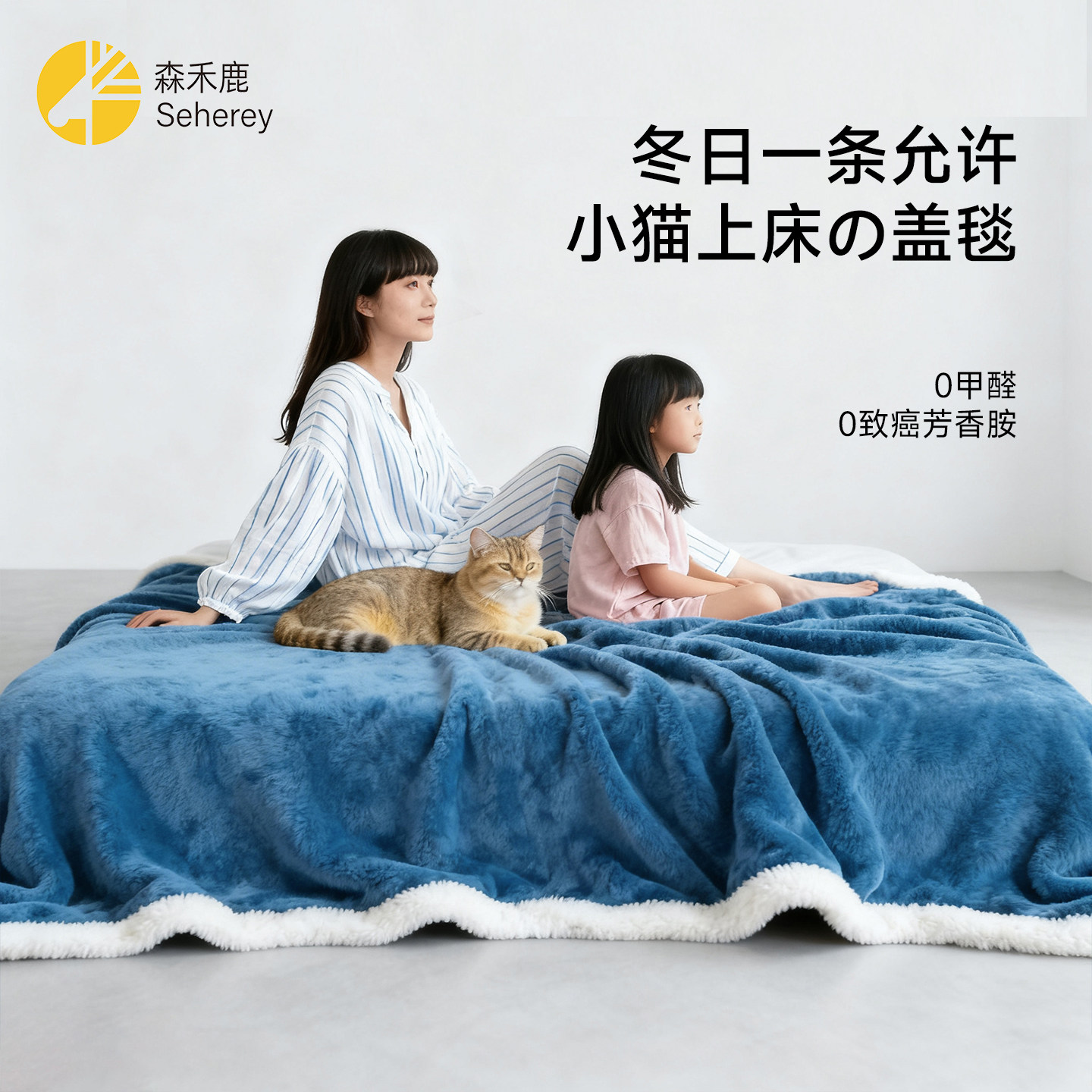 拉舍尔毛毯被加厚冬2025新款学生宿舍珊瑚绒沙发盖毯子铺床牛奶绒