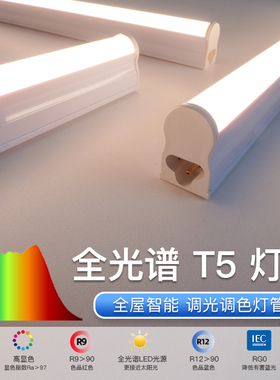 全光谱T5护眼灯管米隐藏光管客厅家用长条LED超亮天花悬浮吊顶灯