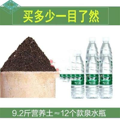 移植花泥腐殖土养花土泥土工具家庭营养土腐植土普T通盆栽月季花