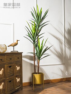 斯堪的纳维亚人造植物剑麻室内客厅彷生人造树绿植龙血树地板盆栽