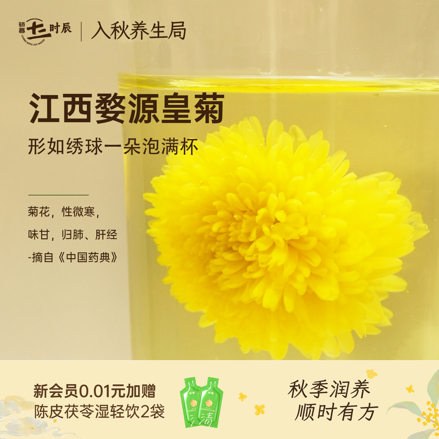 骄慕江西婺源皇菊10g/罐