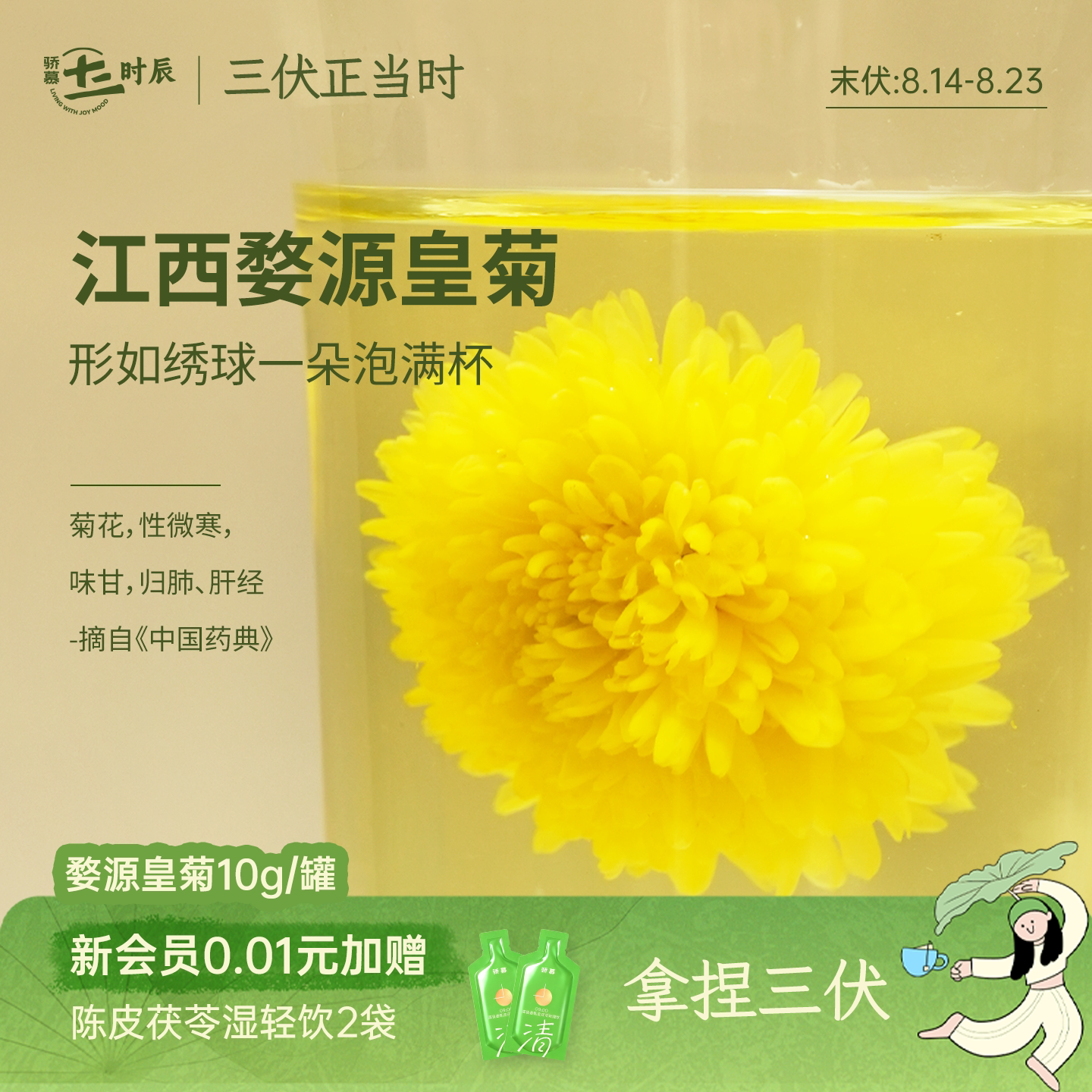 骄慕江西婺源皇菊10g/罐