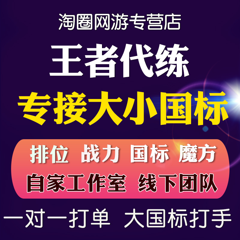 王者送荣耀代练刷排位打上分英雄战力巅峰赛大国标小国标省标金标