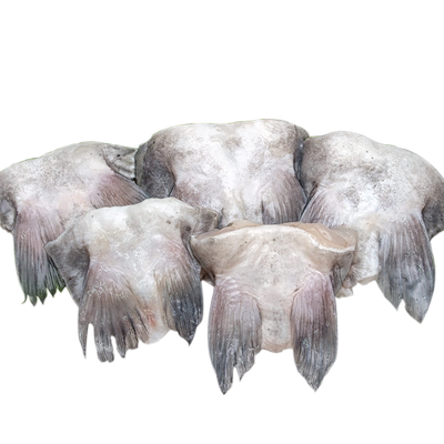 汇海盈清江生鲜淡水鱼烧烤食材