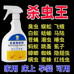 蟑螂药强效家用饭店非无毒灭蚂蚁跳蚤全窝一窝室内餐厅端杀蚊喷雾