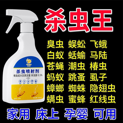 蟑螂药强效家用饭店非无毒灭蚂蚁跳蚤全窝一窝室内餐厅端杀蚊喷雾