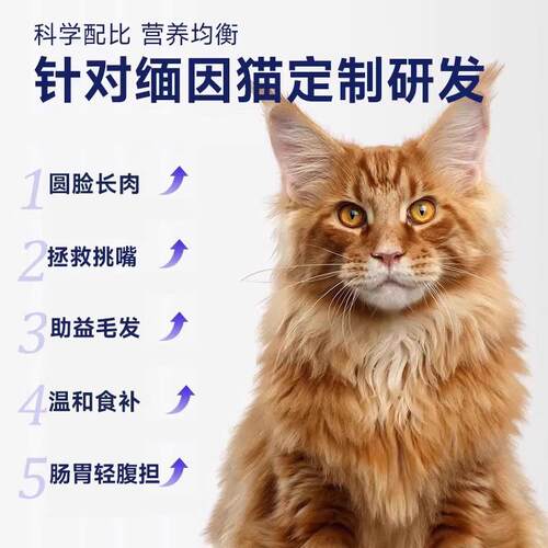 威尔逊馋嘴缅因猫专用猫粮幼猫全阶段鸡肉绒冻干猫粮通用型 蛋黄+
