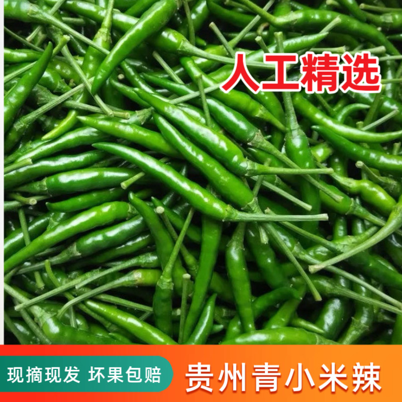 新鲜青辣椒蔬菜农家自种青小米椒超辣辣椒泡椒现摘朝天椒包邮现摘