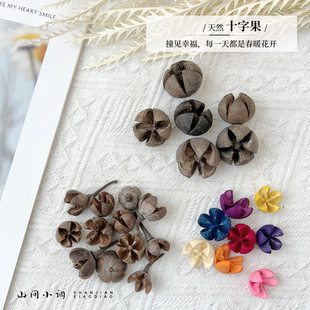 天然十字果 开心果开口笑木荷果实植物果壳幼儿手工DIY  材料标本