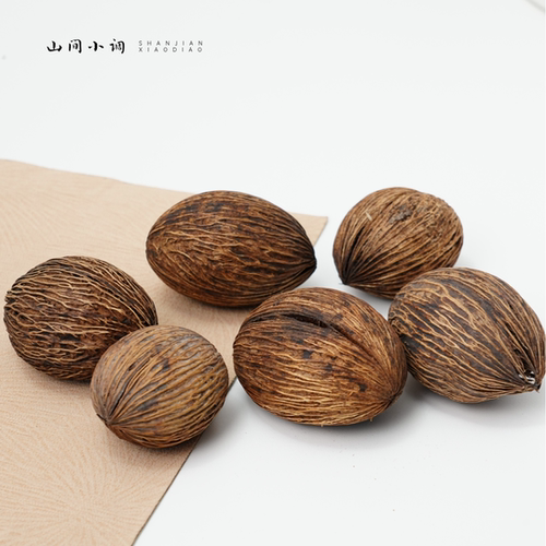 【南非千纹果】进口植物果实干果天然植物插花手工diy材料ins标本