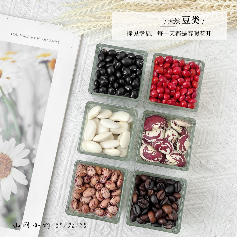 豆类干花 手工DIY材料素材拍摄道具餐厅酒店装饰容器幼儿环创教育