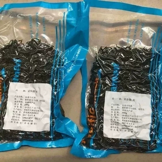 新鲜马尾藻长寿菜海大麦鞭炮笋海藻海菜即食凉拌串串火锅食材配菜