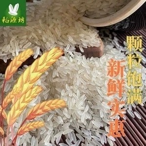 新米收割农家虾稻丝苗香米30斤软香油粘大米15kg南方长粒米
