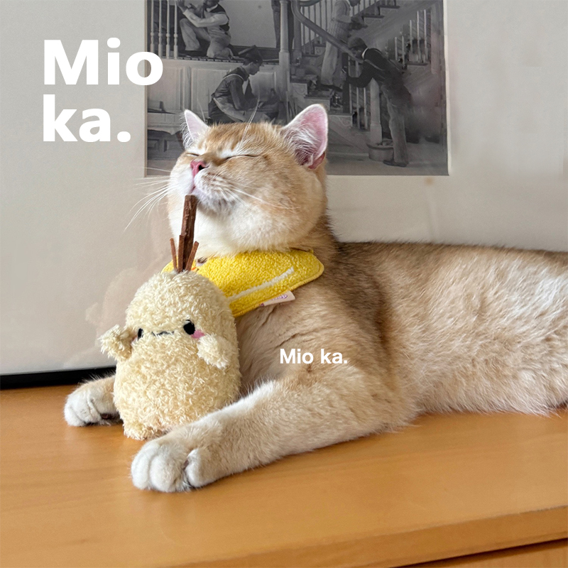 猫咪猫咪自嗨木天蓼解闷神器