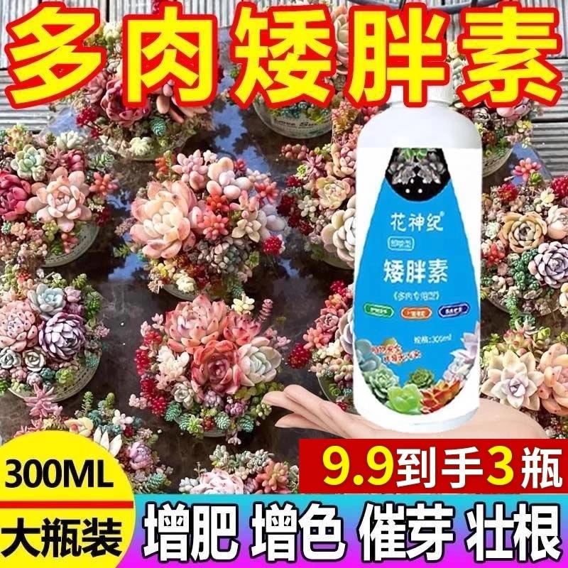 花神纪多肉矮胖素爆芽素增色增肥壮根促生长植物花卉免稀释营养液