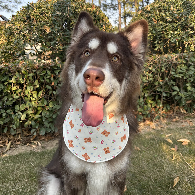 狗狗口水巾围兜大中型犬