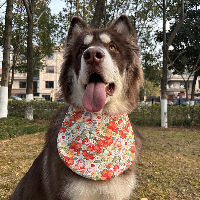 狗狗口水巾防水围兜大中小型犬宠物防脏吸水可爱双面围脖夏季耐用