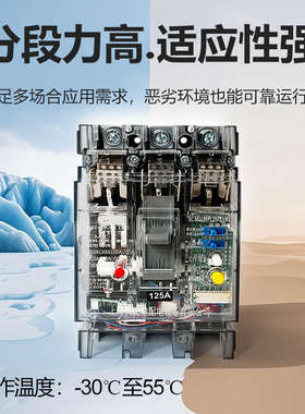 CM1LE三相三线漏电断路器63A 100A 125A 200A 250A 160A漏保380V