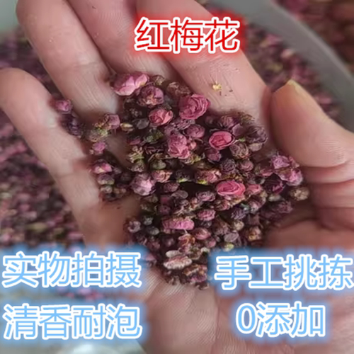 黄山红梅花干消郁气嗓子哑干咳嗽