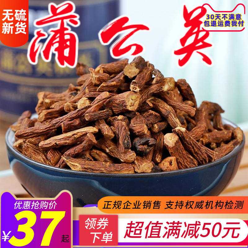 蒲公英根 非种植500g带根干的长白山蒲公英 红 手工挑拣大根