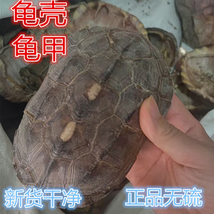 天然乌龟壳中药材龟板背甲壳