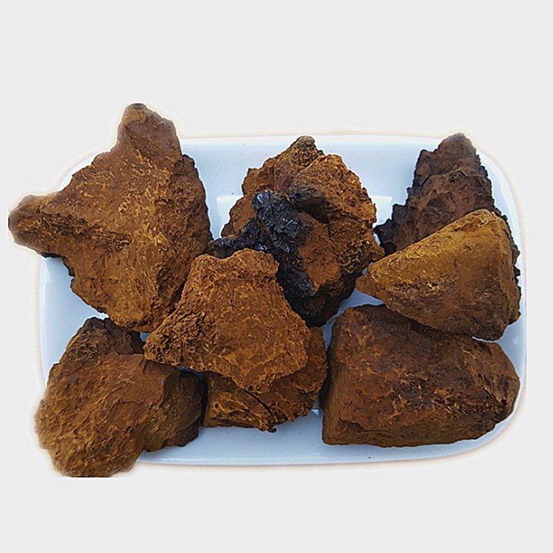 桦树茸白桦茸包邮桦褐孔菌