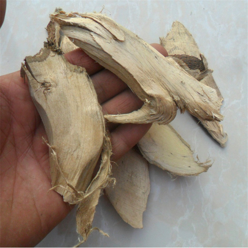 了哥王 中药材新鲜干货500g了哥王根 地棉皮 山豆了 九信草九信菜图片