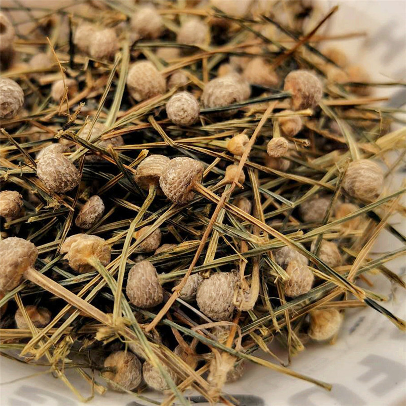 谷精草 中药材正品天然新货500g包邮可磨粉 谷精珠 鱼眼草 珍珠草