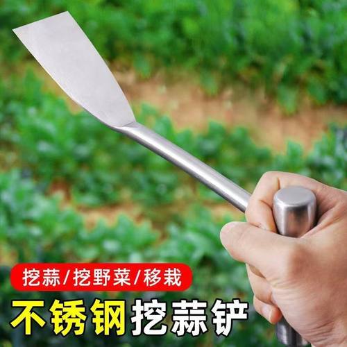 ぃ纯不锈钢蒜铲子园艺种花不锈钢铲种菜除草挖土拔草挖荠菜野菜神