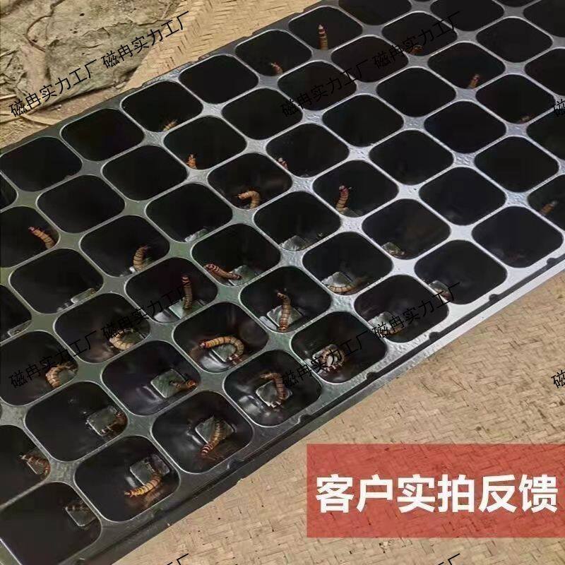 加厚养虫盒大麦虫化蛹盘蛋白虫孵化养殖盒面繁殖箱养殖盘托盘花盆