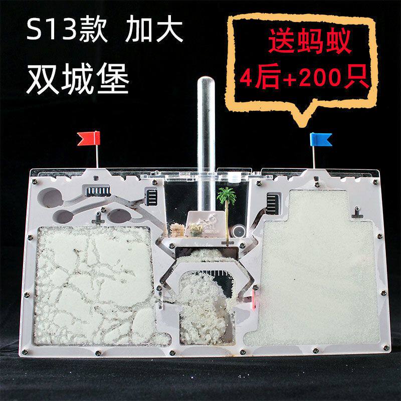 蚂蚁工坊2021款宠物沙堡沙巢双城堡送蚁后群可以繁殖产卵