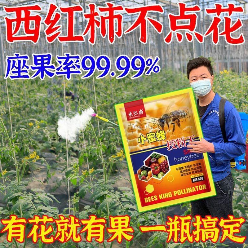 番茄催花座果灵点花药授粉免人工西红柿保花保果防落素水溶肥料