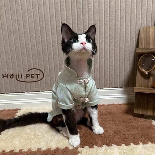 HOiii PET 新中式开衫德文猫衣服竹叶提花无毛猫衣服薄款透气好穿