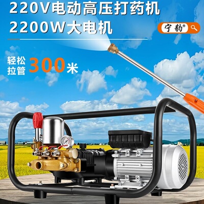 220v家用电电动打药机高压三缸