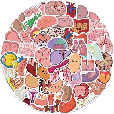65Pcs Cartoon Human Body Organ Stickers Waterproof Sticker