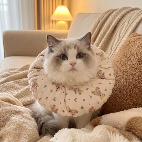 肥瓜喵喵棉布双面宠物猫咪伊丽莎白圈宠物防抓防挠防舔保护圈脖套
