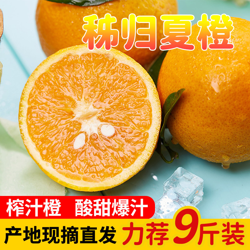 湖北秭归夏橙新鲜橙子9斤装当季现摘孕妇水果纽荷尔脐橙整箱包邮