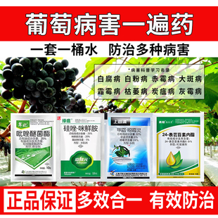 葡萄病害专用药全治组合装霜霉病灰霉白腐病防腐烂果套袋套餐农药