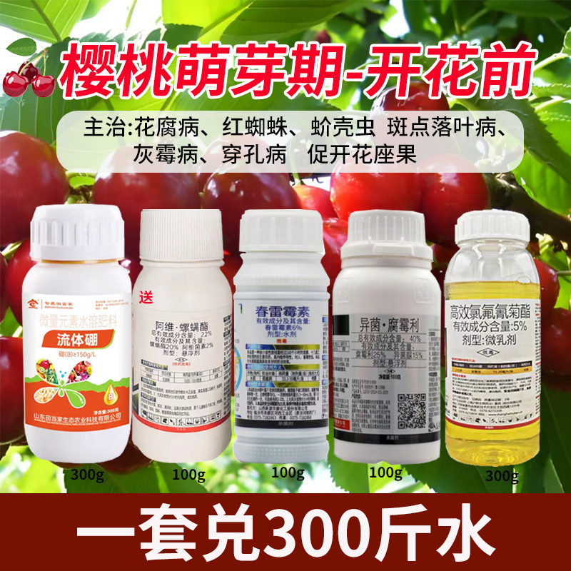 樱桃开花前一遍药大樱桃树用药叶斑病褐斑病流胶病杀虫杀菌农药