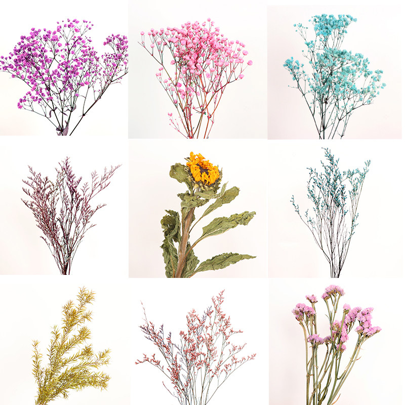 ins网红天然干花满天星永生花真花花束勿忘我插花客厅装饰摆件