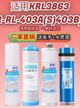 适配沁园净水器滤芯QR-RL-403A(S)403B/C/KRL3863通用纯水机400g