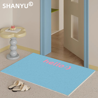 入户门地垫粉蓝色丝圈脚垫