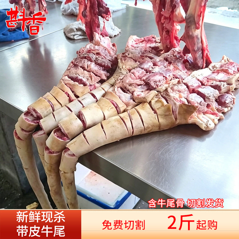 新鲜带皮牛尾巴整根原切黄牛尾现杀整条牛尾骨散养黄牛肉商用