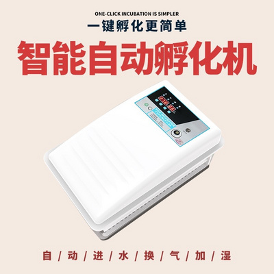 小鸡呼化器暖化机孵鸡蛋 小型化器20枚小型56枚卵蛋箱全自动控温