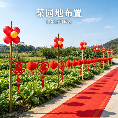 婚礼路引装饰网红结婚迎宾农村院子路边外景婚房场景布置用品
