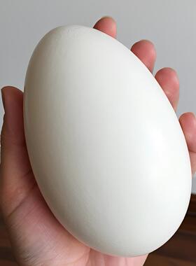 12枚特大生鹅蛋140-160克双黄蛋正宗土鹅蛋农家散养新鲜孕妇精品