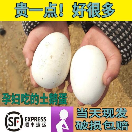 12枚特大生鹅蛋220-260克双黄蛋正宗土鹅蛋农家散养新鲜孕妇精品