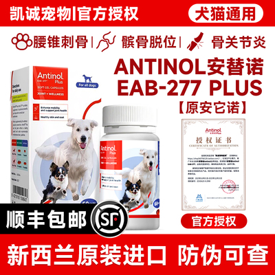 新西兰进口安替诺Antinol277软骨素髌骨脱位猫狗润滑关节腰安它诺
