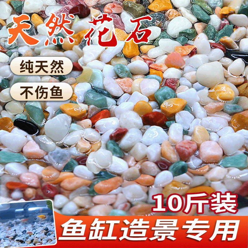 【限时特价】彩石多肉铺面石头